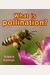 What Is Pollination?