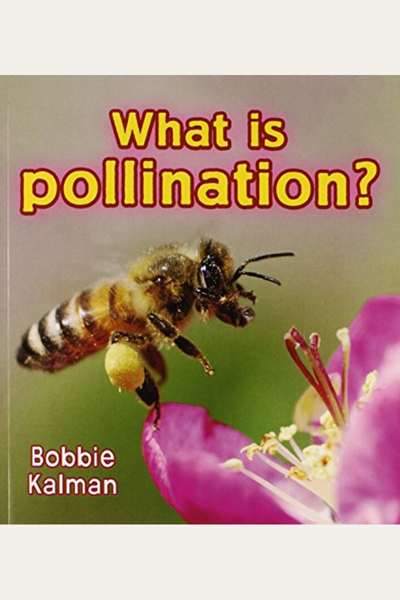 What Is Pollination?