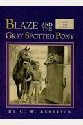 Blaze And The Gray Spotted Pony