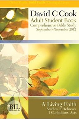 Buy David C. Cook Bible-in-Life Adult Comprehensive Bible Study Regular ...