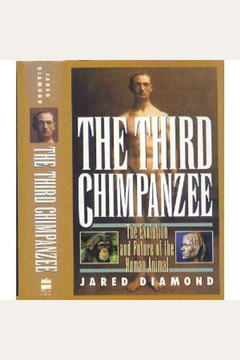 The Third Chimpanzee: The Evolution And Future Of The Human Animal