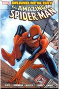 Spider-Man: Brand New Day - Volume 1