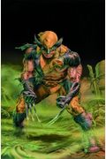 Wolverine Origins: Romulus (Wolverine (Marvel) (Quality Paper))