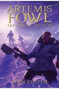 The Arctic Incident