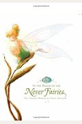 In The Realm Of The Never Fairies: The Secret World Of Pixie Hollow