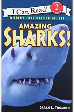 Amazing Sharks! Amazing Sharks!