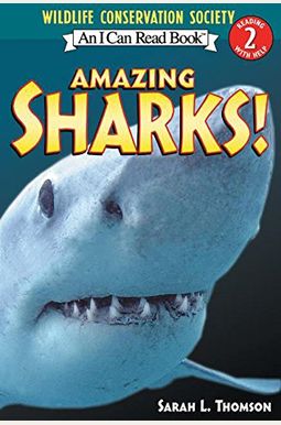 Amazing Sharks! Amazing Sharks!
