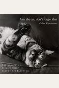 I Am The Cat, Don't Forget That: Feline Expressions