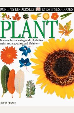 Plant Plant