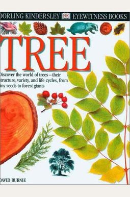 Tree Tree