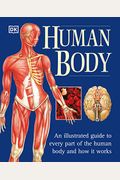 The Human Body: An Illustrated Guide To Every Part Of The Human Body And How It Works