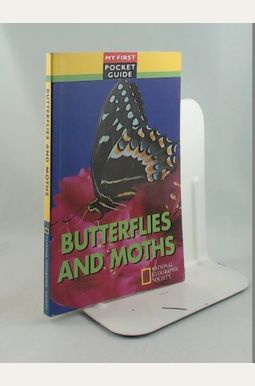 Butterflies And Moths Butterflies And Moths