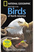 National Geographic Illustrated Birds Of North America, Folio Edition