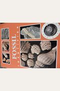 Fossil Identifier