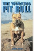 Working Pit Bull