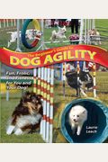 The Beginner's Guide To Dog Agility