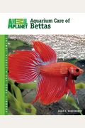 Aquarium Care of Bettas