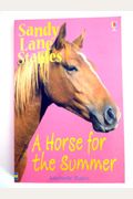 A Horse For The Summer