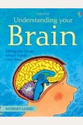 Understanding Your Brain (Science for Beginners)