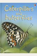 Caterpillars And Butterflies (Beginners Nature, Level 1)