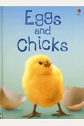Eggs and Chicks (Beginners Nature, Level 1)