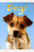 Dogs (Usborne Beginners: Information for Young Readers: Level 1)
