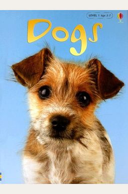 Dogs Dogs