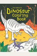 Dinosaur Coloring Book (Coloring Books)
