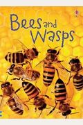Bees And Wasps (Beginner's Nature)