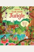 Look Inside the Jungle