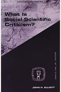 What Is Social Scientific Criticism?