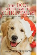 The Dog Who Came To Christmas: And Other True Stories Of The Gifts Dogs Bring Us