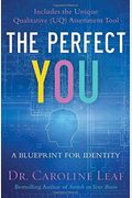 The Perfect You: A Blueprint For Identity