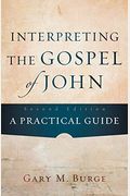 Interpreting The Gospel Of John: A Practical Guide