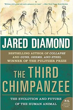 The Third Chimpanzee: The Evolution And Future Of The Human Animal The Third Chimpanzee: The Evolution And Future Of The Human Animal