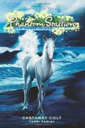 Phantom Stallion: Wild Horse Island #4: Castaway Colt