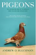 Pigeons: The Fascinating Saga Of The World's Most Revered And Reviled Bird
