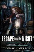 Escape Into The Night