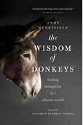 The Wisdom Of Donkeys: Finding Tranquility In A Chaotic World