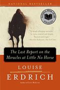The Last Report On The Miracles At Little No Horse: A Novel