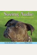 Saving Audie: A Pit Bull Puppy Gets A Second Chance