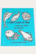 A First Look At Fish,