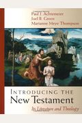 Introducing The New Testament: Its Literature And Theology