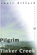 Pilgrim At Tinker Creek