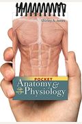 Pocket Anatomy And Physiology