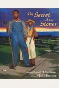 The Secret of the Stones (Phyllis Fogelman Books)