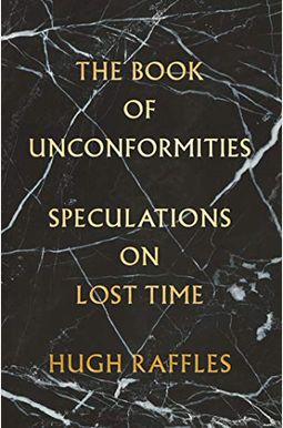 The Book of Unconformities: Speculations on Lost Time