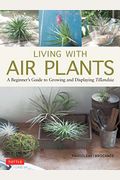 Living With Air Plants: A Beginner's Guide To Growing And Displaying Tillandsia