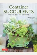 Container Succulents: Creative Ideas For Beginners