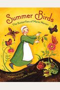 Summer Birds: The Butterflies Of Maria Merian